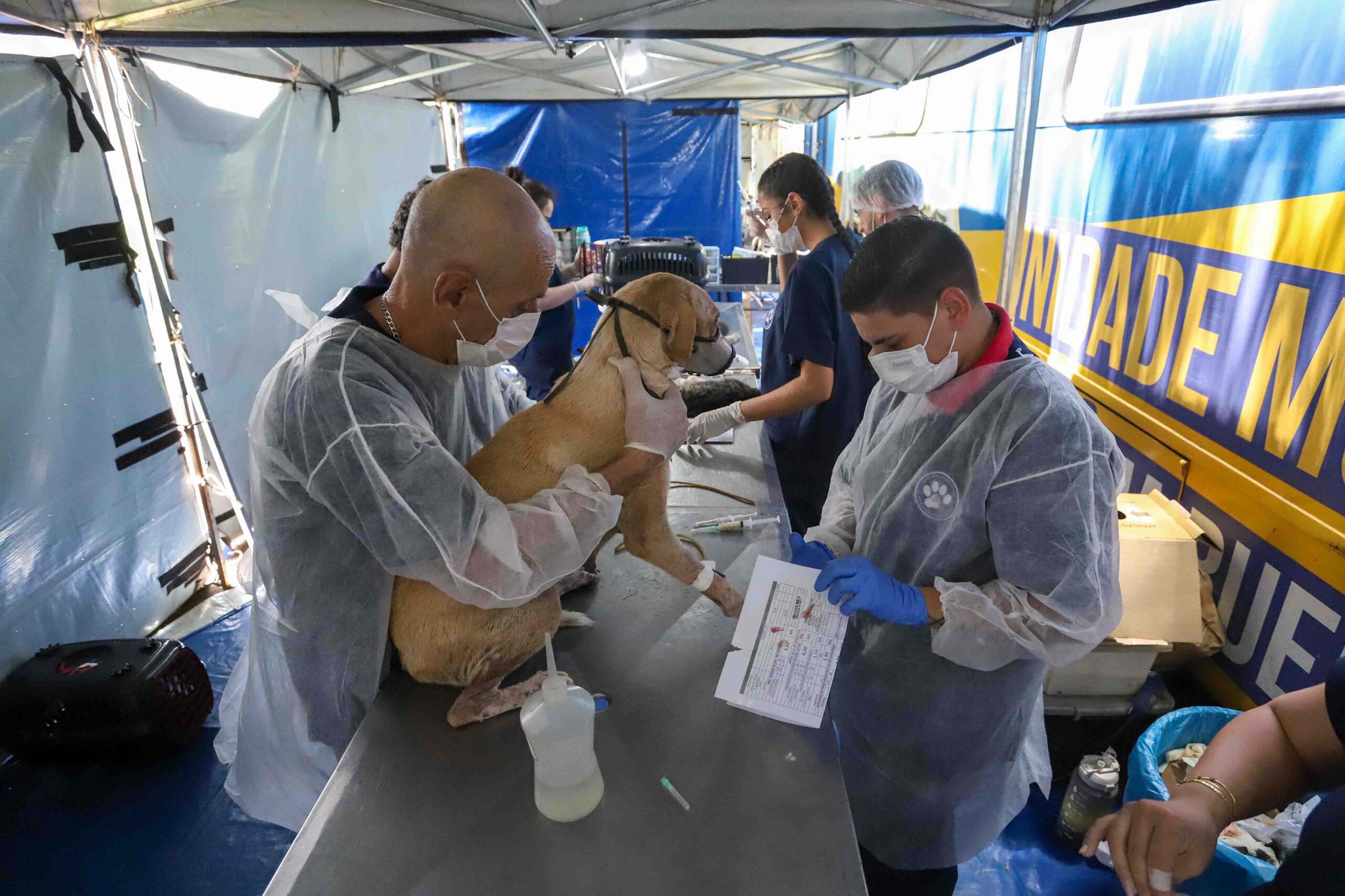 CastraPet vai estrear em 84 municípios do Paraná durante o 5º ciclo